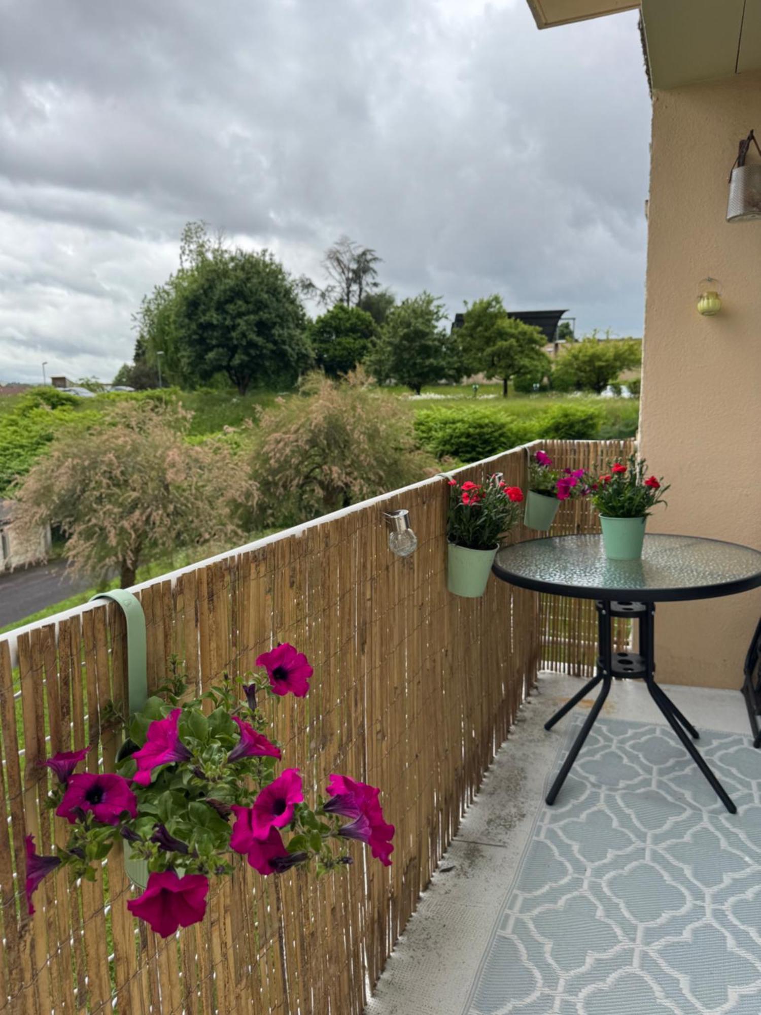 Appartement Chaleureux Et Spacieux T3 Limoges Exterior photo